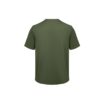 QD04 green back Will Global Trading