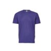 QD04 purple Will Global Trading