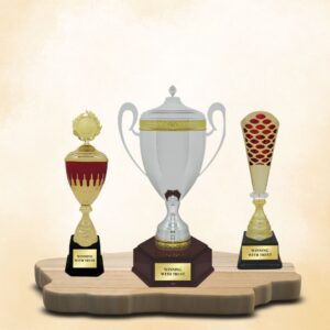 Trophy Will Global Trading